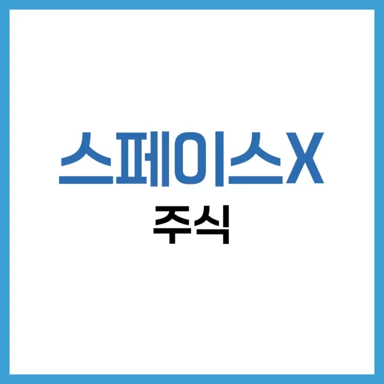 스페이스X 주식