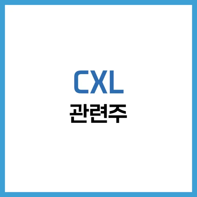 CXL관련주대장주