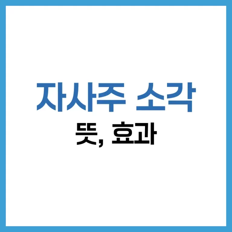 자사주소각뜻